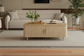 Christopher Knight Home Nova Sliding Door Storage Coffee Table with Adjustable Shelves